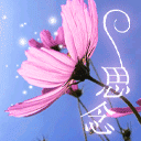 足控的表情20248