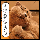 爱情冲击波动图表情包2 爱情冲击波动图表情包2