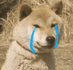 图片表情包微信7 图片表情包微信7