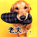 表情包里秋天的问候4