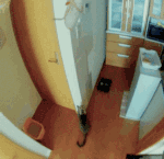 经典表情图片对应文字4 经典表情图片对应文字4