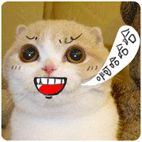 12张真好的表情图片6 12张真好的表情图片6