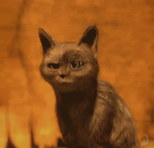 暴走表情包妹子1 暴走表情包妹子1