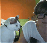 英雄联盟动图表情包3 英雄联盟动图表情包3