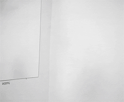 雪花的表情符号12