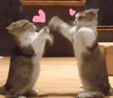 鄙视文字表情复制6