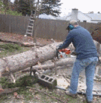 积极向上的沙雕表情包动态5