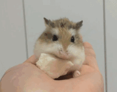 恶搞分手动态表情包7