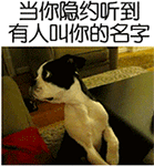 15组阳光的微信表情1