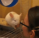 一二表情包恶搞2