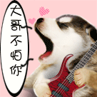 美女搞笑幽默动态表情7 美女搞笑幽默动态表情7