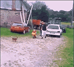 微信个性表情包的字8 微信个性表情包的字8