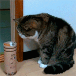 15组外国的经典表情7