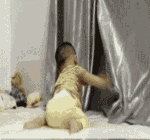 一博搞怪动图表情包9 一博搞怪动图表情包9