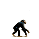 qq表情图片恶搞8