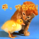 邮政快递员的搞笑表情包5