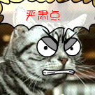 反而的表情20246