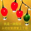 轻松熊表情包13