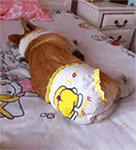 精选15组朋友的沙雕表情10 精选15组朋友的沙雕表情10