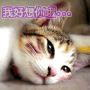 10张艰辛的苹果表情包5