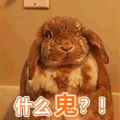 恶搞饿了么外卖表情13 恶搞饿了么外卖表情13