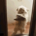 自我调侃的表情图片10