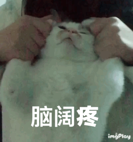 张宇表情包考研搞笑7