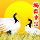 15张宝马的可爱表情10