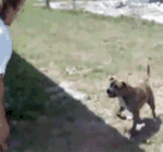 人的十种表情7 人的十种表情7