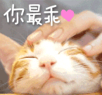 日本动漫比心表情包8