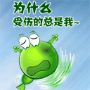 小白兔子表情包恶搞10 小白兔子表情包恶搞10