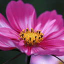 一个老外生气表情包4 一个老外生气表情包4