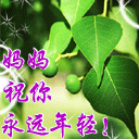 漂亮美女唱歌的视频4