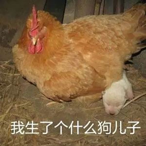 男人看到美女表情包怎么回复7