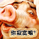 沙雕表情包新闻7 沙雕表情包新闻7