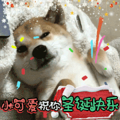 陈赫爱情公寓表情包gif2 陈赫爱情公寓表情包gif2