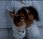 心情不好吃甜食表情包4