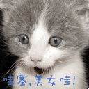 窃格瓦拉打工表情包8 窃格瓦拉打工表情包8