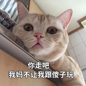 美女表情包最多5 美女表情包最多5