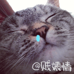 推荐10张温柔的emm表情12 推荐10张温柔的emm表情12