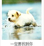 邓超搞笑表情图片6 邓超搞笑表情图片6