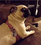 2022关于过期的字符表情8