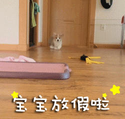 除了滑稽还有什么表情7 除了滑稽还有什么表情7