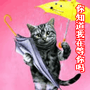 画动漫人物有表情7