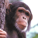 生气可爱小表情8