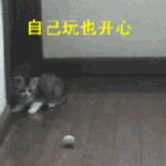 金馆长表情包素材1