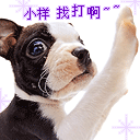 早上好问候语表情包图片6 早上好问候语表情包图片6