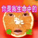 祝福宝宝的新年表情7 祝福宝宝的新年表情7