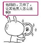 爱情公寓5猪猪动画表情图7 爱情公寓5猪猪动画表情图7