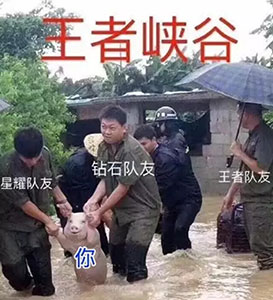 达克鸭表情包7 达克鸭表情包7